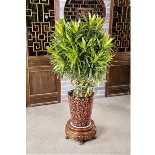 宝山工厂绿化收费与养护服务指南